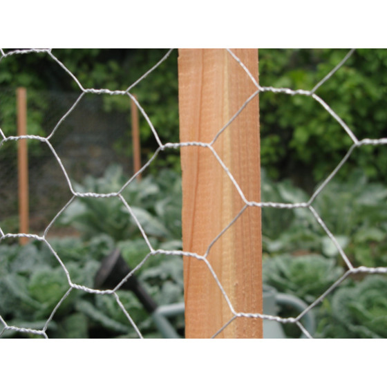 grillage potager pour protéger jardin des nuisibles