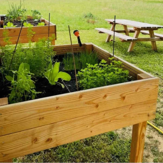 Table de culture en bois