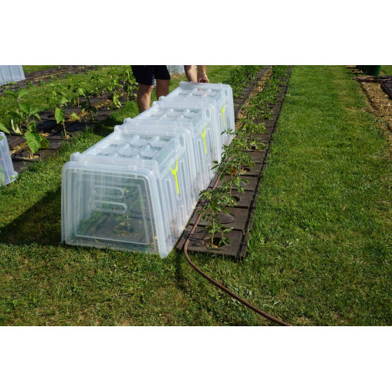 tunnel de forçage rigide pour jardin