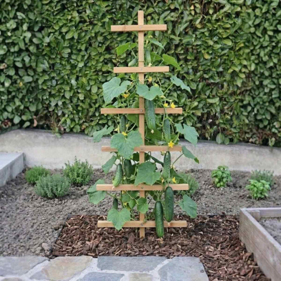 tuteur concombre et cornichon en bois 1,50m