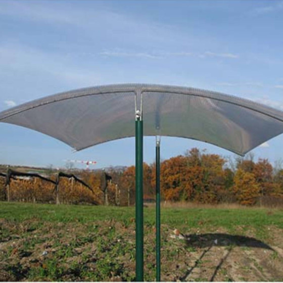 toit de protection pour tomates