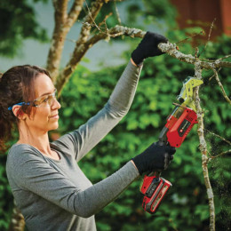 Coupe branche electrique Einhell