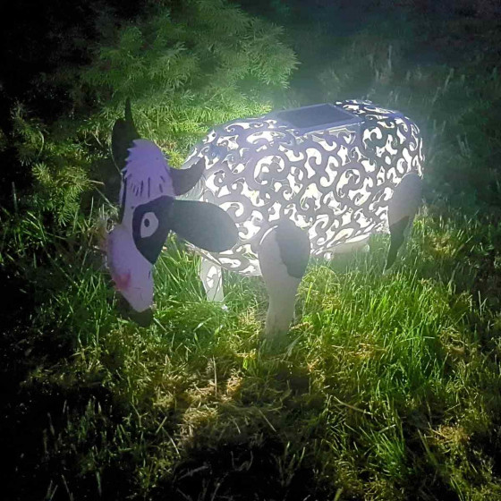vache solaire de nuit