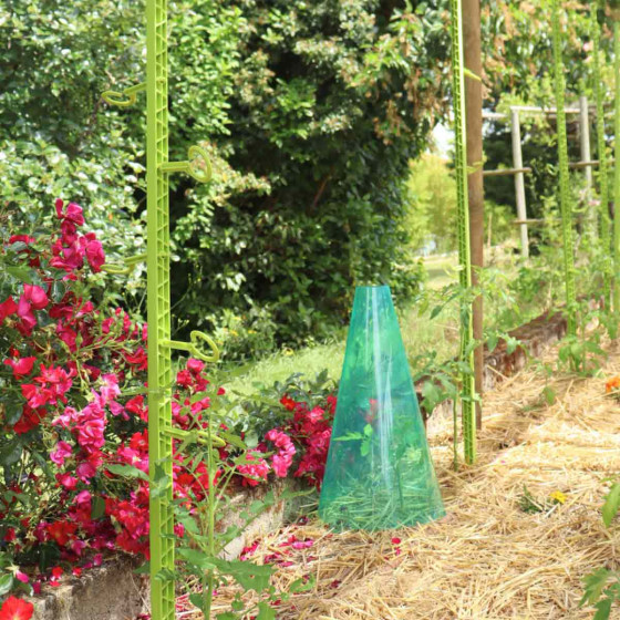 cone de forcage potager