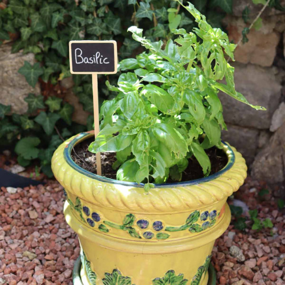 etiquette de jardin a planter