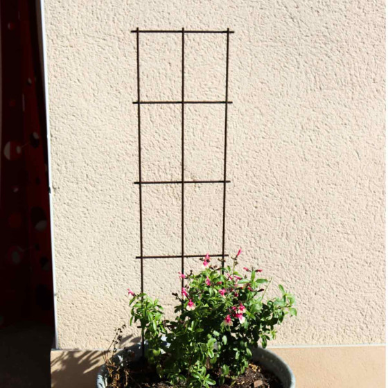 treillis en acier pour plante grimpante