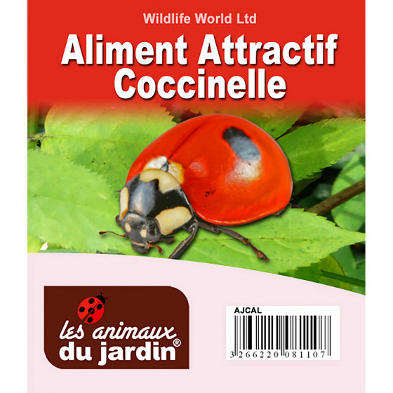 Aliment attractif à coccinelles