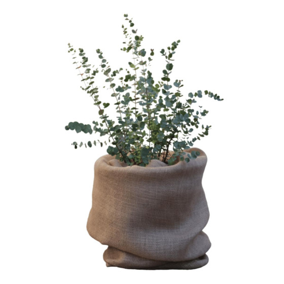 toile pour pot de fleurs rouleau jute jardin