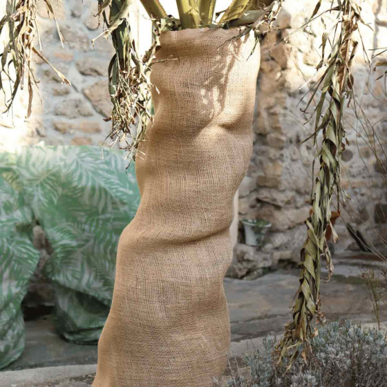 rouleau toile de jute pour hiverner plantes