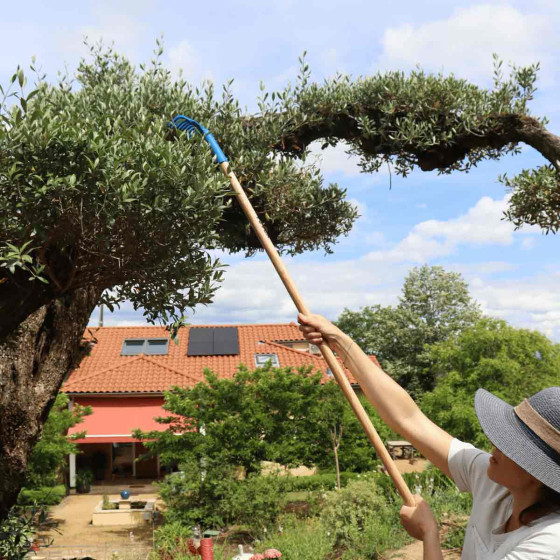 rateau a olive avec manche en bois 130 cm