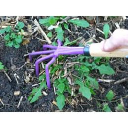 Griffe à fleurs en acier 5 dents