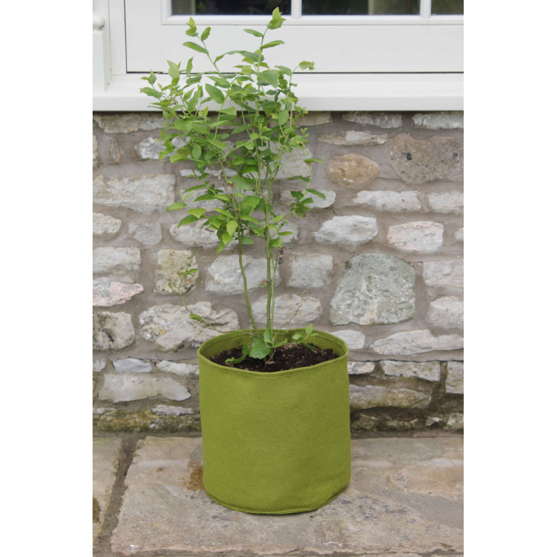 Acheter Le tissu de feutre a augmenté le planteur de lit de jardin plantant  des sacs de culture, matériel durable d'Eco