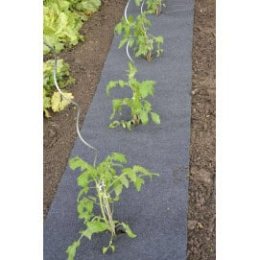 feutre de culture pour potager
