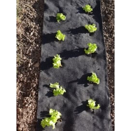 feutre de culture pré percé 2 rangs