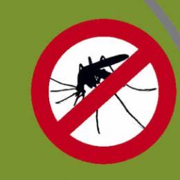 Eviter les insectes en camping-car dont les moustiques !