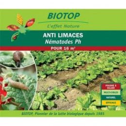 Nématodes anti limaces