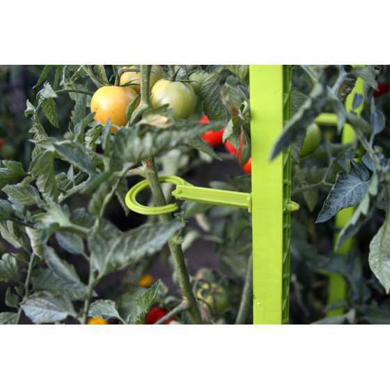 Attache pour éco tuteur à tomate en plastique vert anis (les 6)