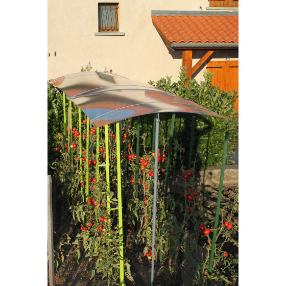 Abri pour tomate réglable en hauteur avec toit en polycarbonate