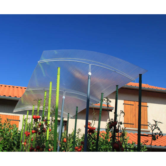 Abri pour tomate réglable en hauteur avec toit en polycarbonate