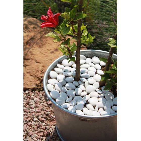 Galet décoratif jardin pour décorer pot de fleur