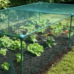 Enclos de jardin potager 2 x 1 m (filet + voile d'hivernage)