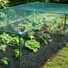 Filet de protection pour jardinage écologique