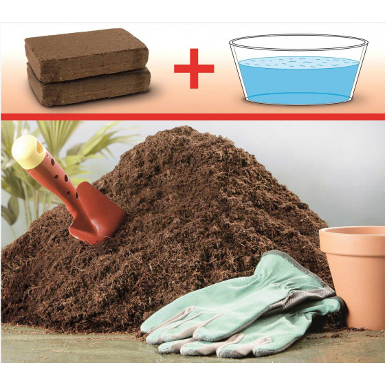 fibre de coco terreau