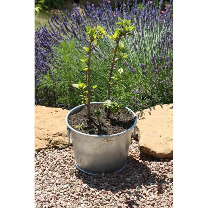 Pot de fleur gris anthracite rond 28,3 litres chez Jardin et Saisons