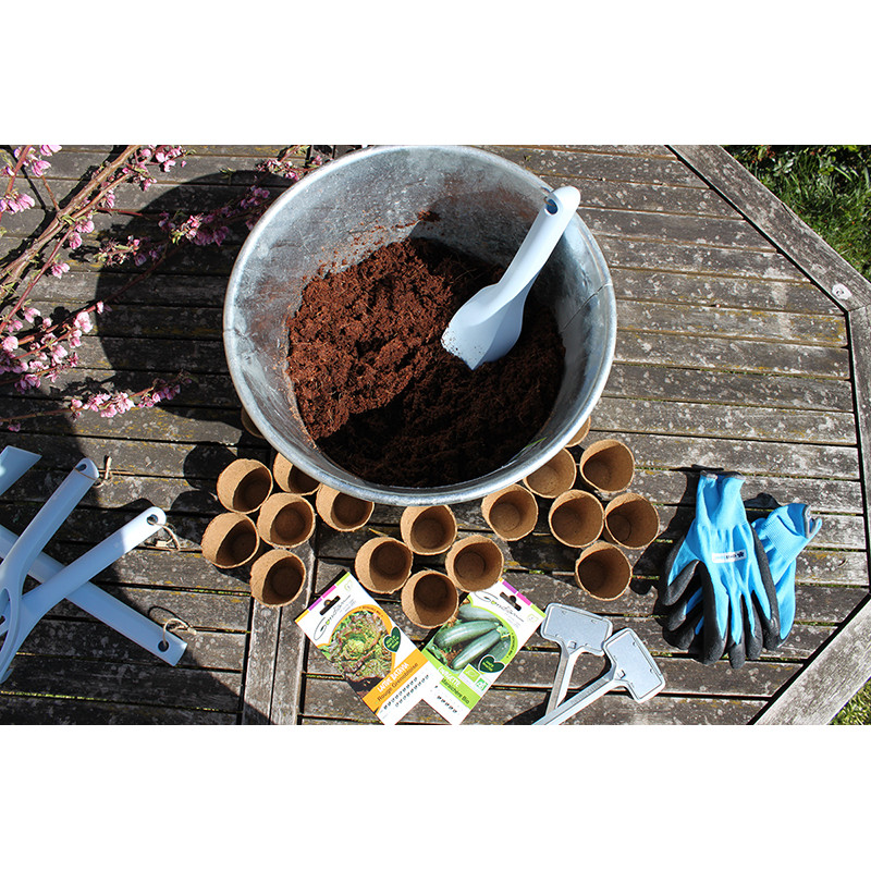 Sol minute - Milieu de culture comprimé de fibres de coco - 10 paquets de  terreau - Jardinage, plantes d’intérieur, fleurs