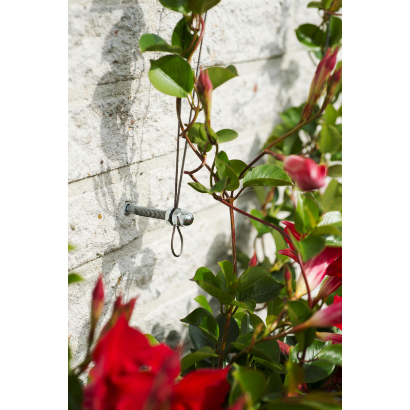 Kit de câble métallique en acier inoxydable 304, 15m/3mm, enduit de PVC,  tendeur de boucle colorée, fil de jardin pour plantes grimpantes, clôture -  AliExpress