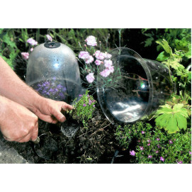 Cloche en verre jardin grand modèle H. 61cm Diam. 35cm, vente au