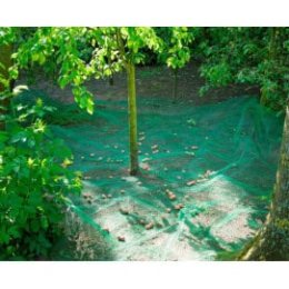 filet protection arbre fruitier