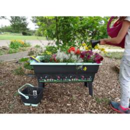 Kit 3 outils de jardinage : transplantoir, binette et griffe - Calipso