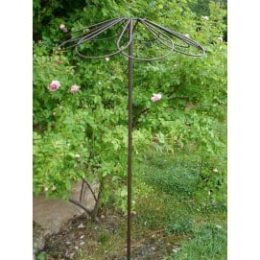 Tuteur parapluie pour rosier pleureur en acier fer vieilli