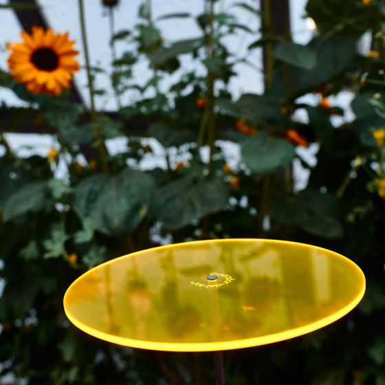 Attrape soleil de jardin Cazador Del Sol 2 disques de fleur jaune et 1 rouge