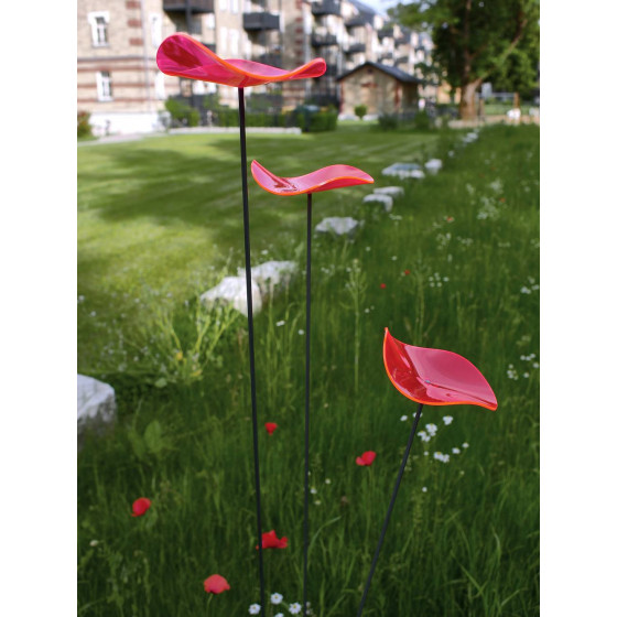 Trio Cazador Del Sol fleurs rouges 120 cm