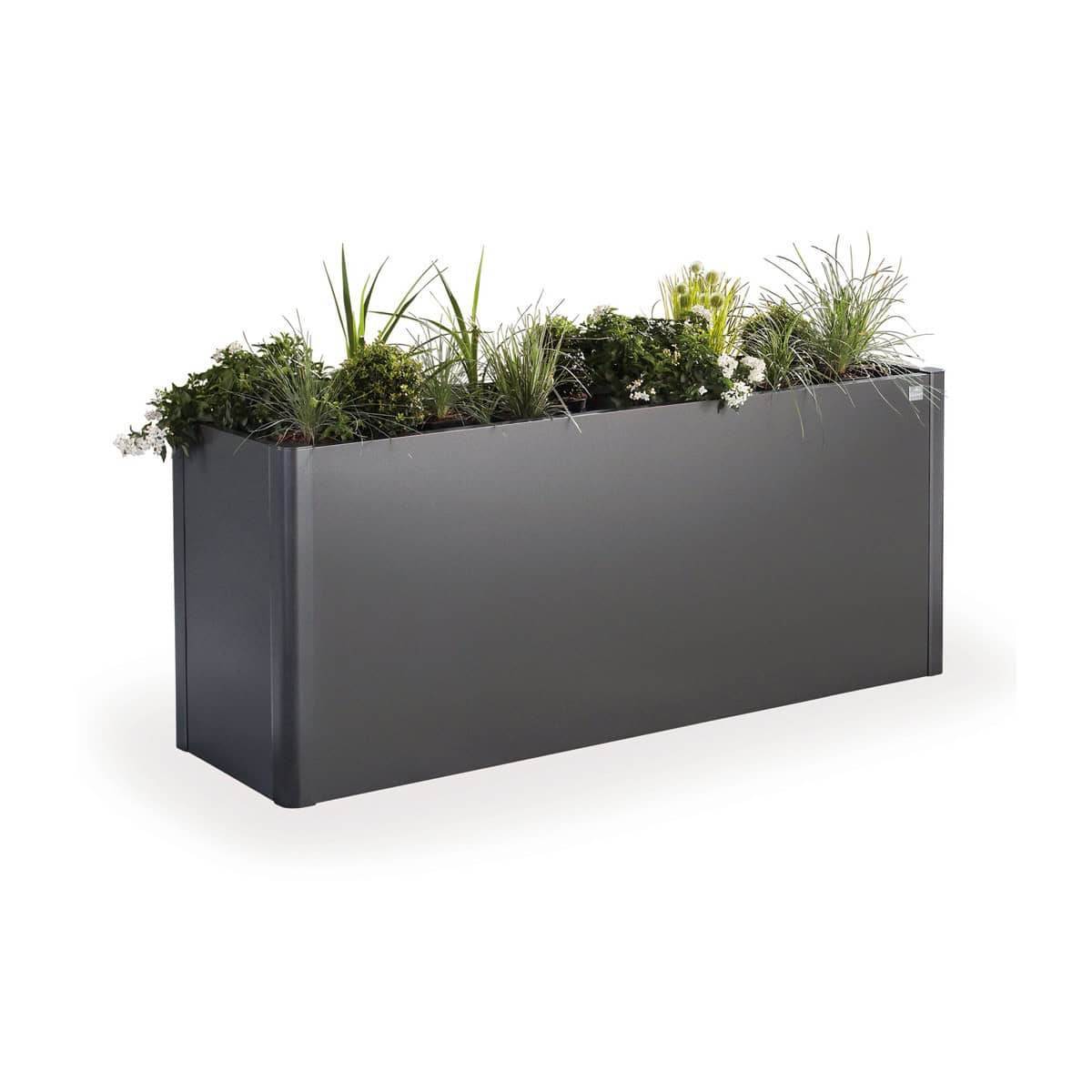 Décoration Jardin Métal Physalis à Planter 9x70 Cm Anthracite - Pour Jardin Minéral, Résistante Aux Intempéries