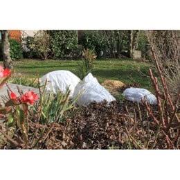 Voile d'hivernage pour plantes