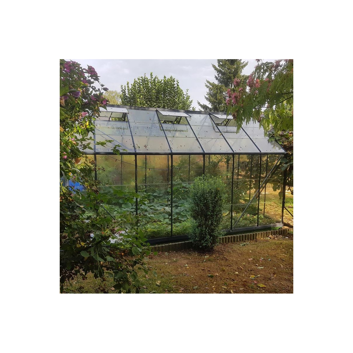Serre de jardin en polycarbonate : serre 66 + base l Chalet Jardin