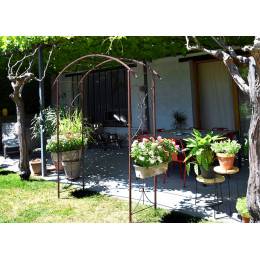 Arche de jardin Lenz Arceau pour rosiers et plantes grimpantes en fer forgé