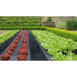 Feutre pour allée de potager