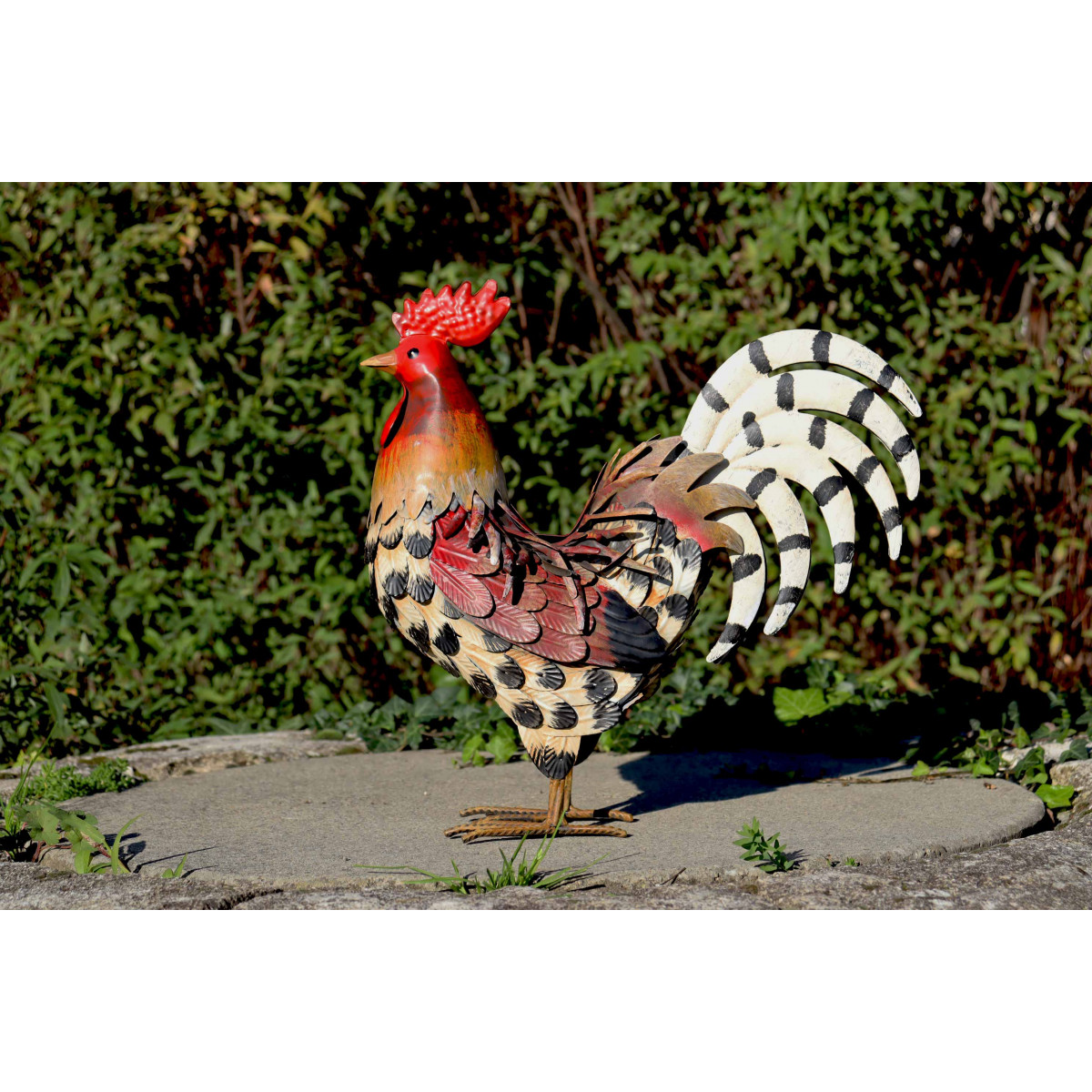 Piquet de jardin en métal rouillé - Décoration de jardin en forme de coq ou  poule - Décoration de jardin rouillée : : Jardin