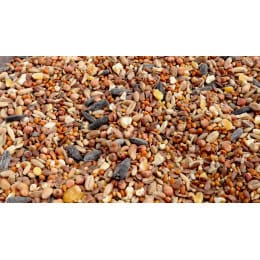 nourriture pour oiseaux du jardin