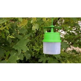 piege a pheromone chenille processionnaire du pin