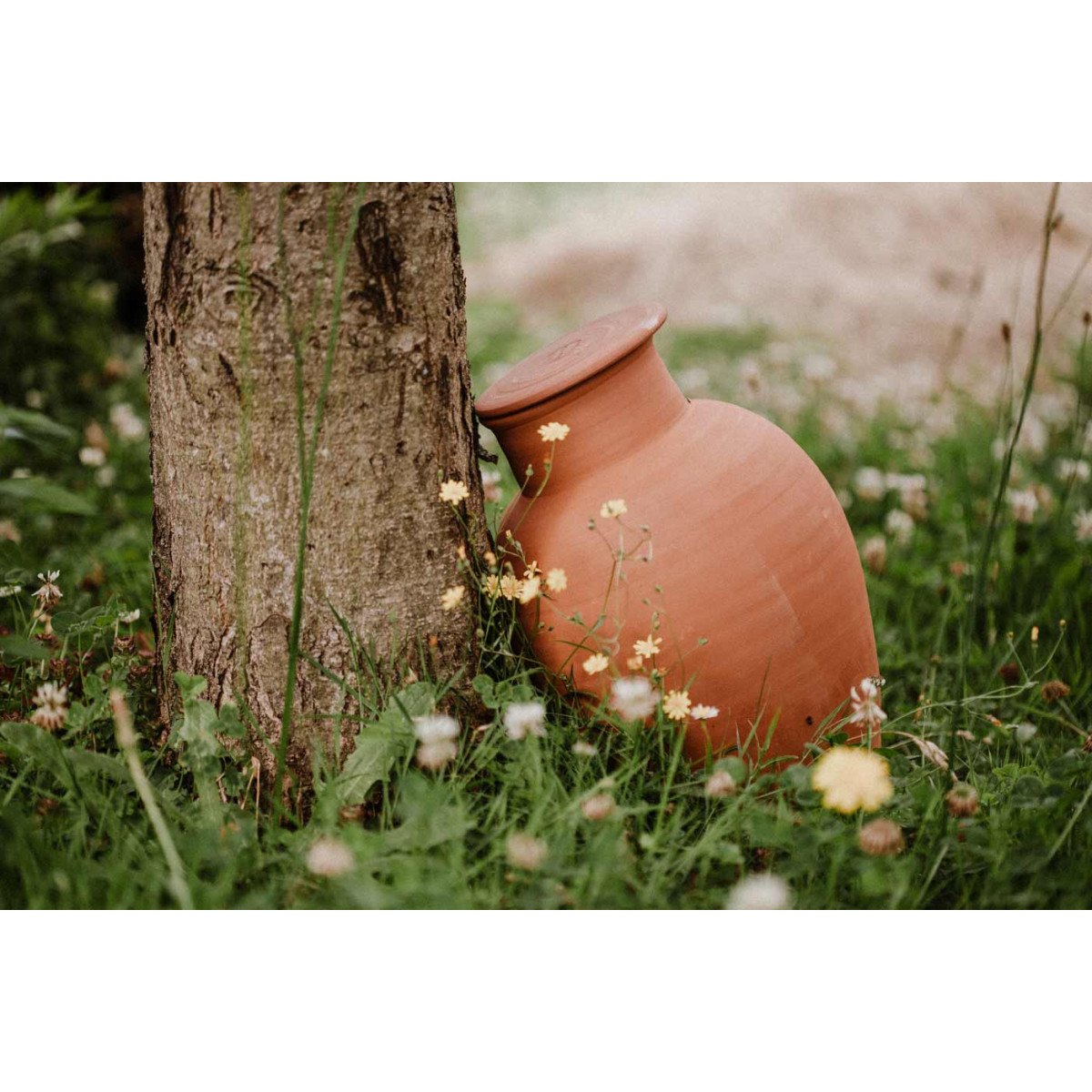 Pot en terre cuite - Accessoires pour plantes et fleurs