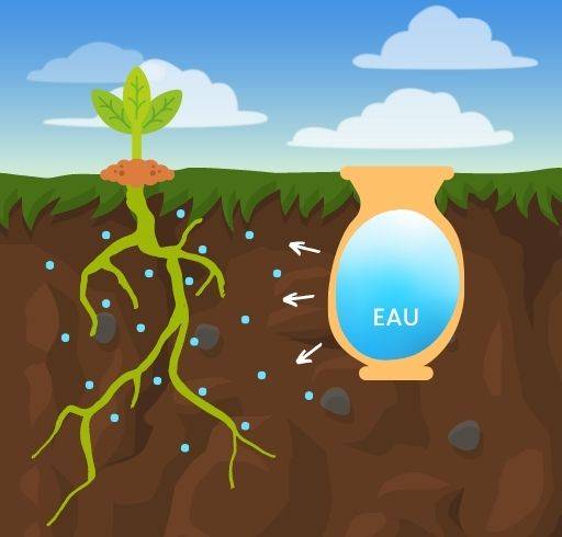 Oya : fonctionnement et avantages de ce système d'irrigation 