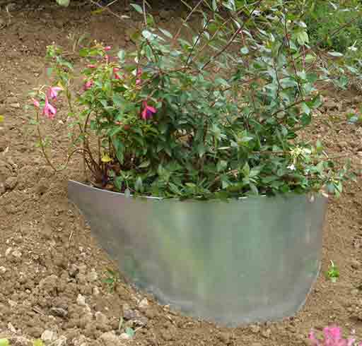 bordure demi lune 