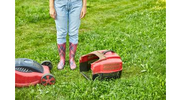 Faut-il tondre sa pelouse au printemps ? Erreurs à éviter