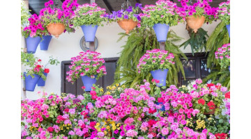 Jardins urbains : comment cultiver des plantes sur un balcon ou une terrasse ?