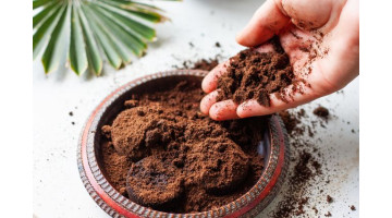 Découvrez comment utiliser le marc de café au jardin. Ne le jetez plus !